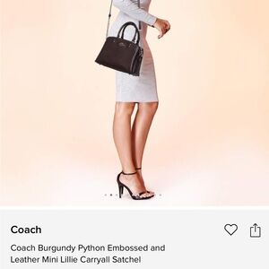 Coach Lillie Carryall
